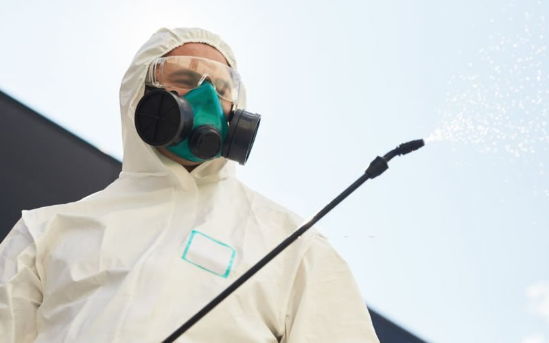 10 Important Questions To Ask A Pest Control Company